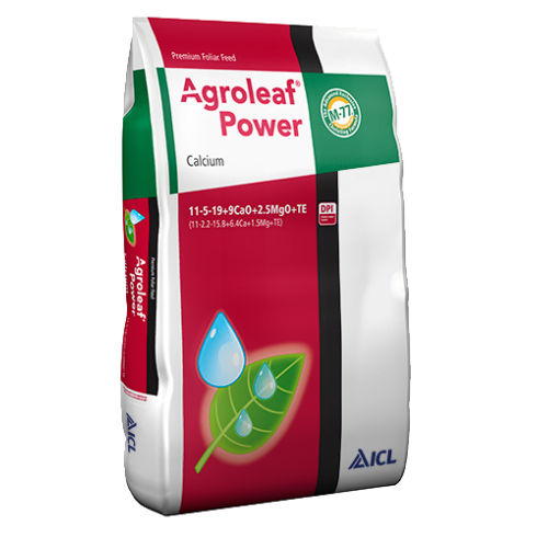 Agroleaf Power Calcium 11-05-19 +2.5Mg+9CaO+Te 2KG