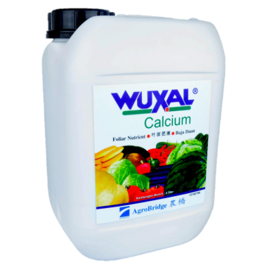 Wuxal.Calcium a'10l