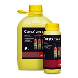 Caryx 240 SL 1L