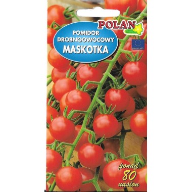 Pomidor gruntowy karłowy Maskotka
