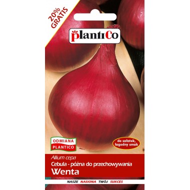 Cebula Allium cepa Wenta 6g