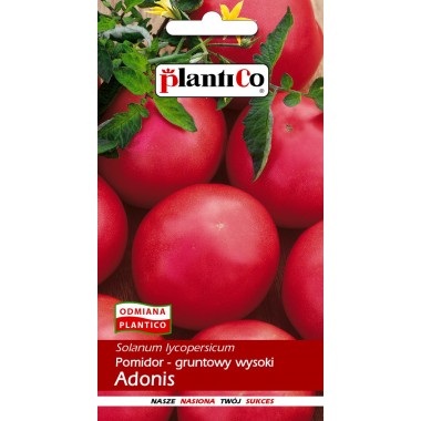 Pomidor typ malinowy ADONIS 0,5g