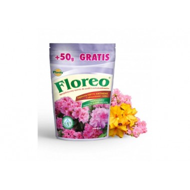 Nawóz Planta Floreo 250g